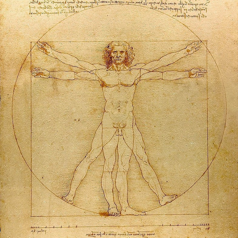 Leonardo da Vinci (1452 - 1519) - De Collectie