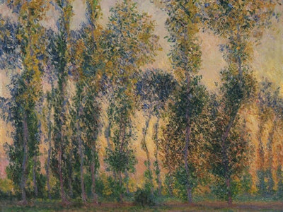 Claude Monet - 'Populieren bij Giverny, Zonsopkomst' (1888) Art Prints Claude Monet